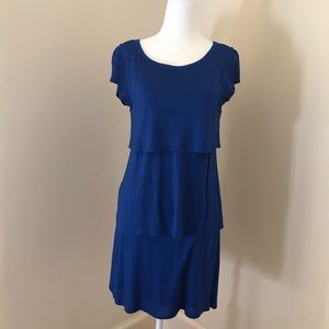 $25 for 3_Ann Taylor blue shift dress